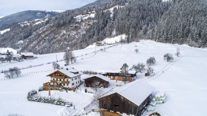 Pension & Appartements Behamhof