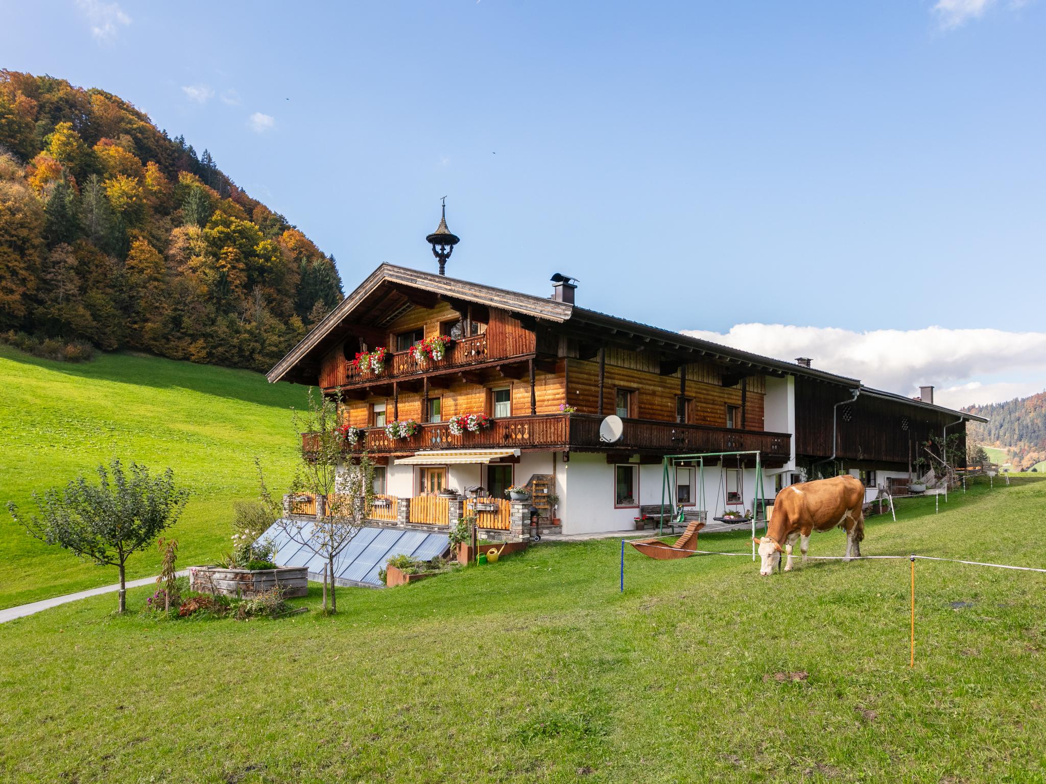 Tiroler Bergtraum Top 1