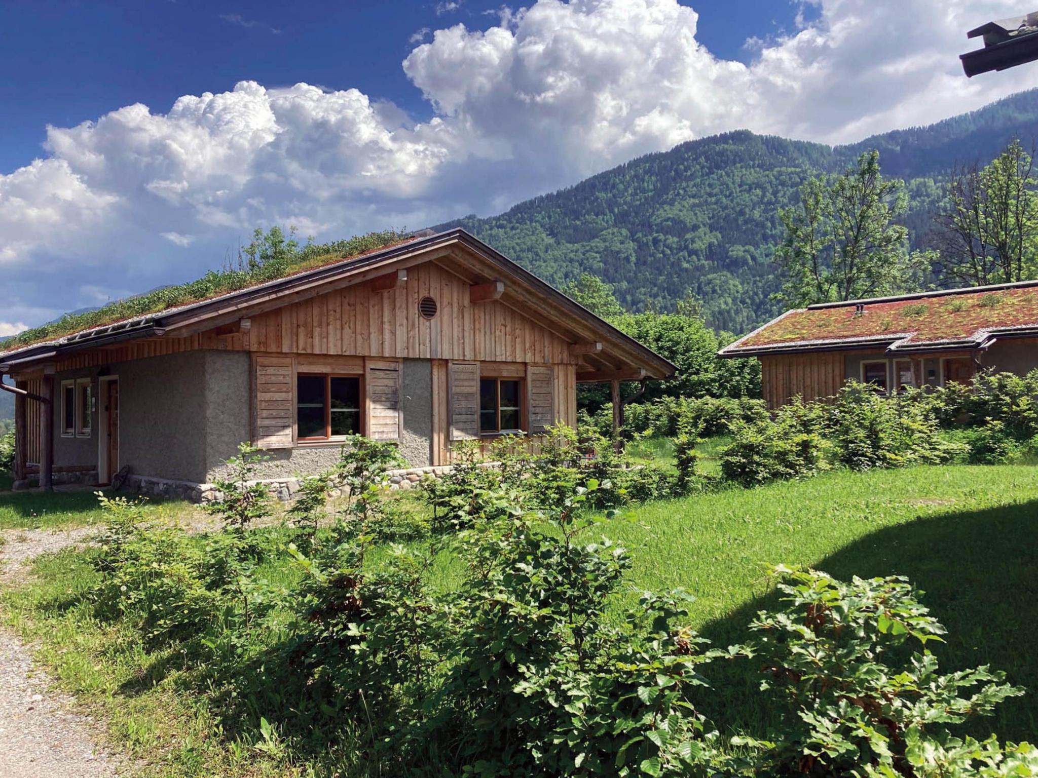 Buchen 54