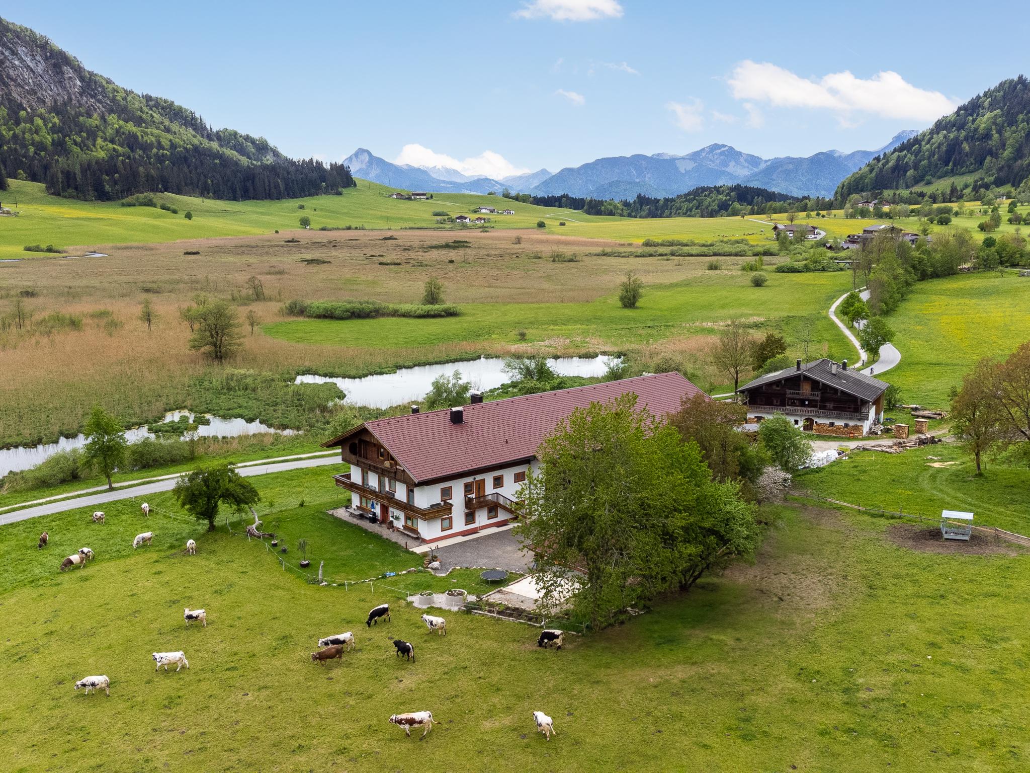Schwemmblick am Marschbachhof