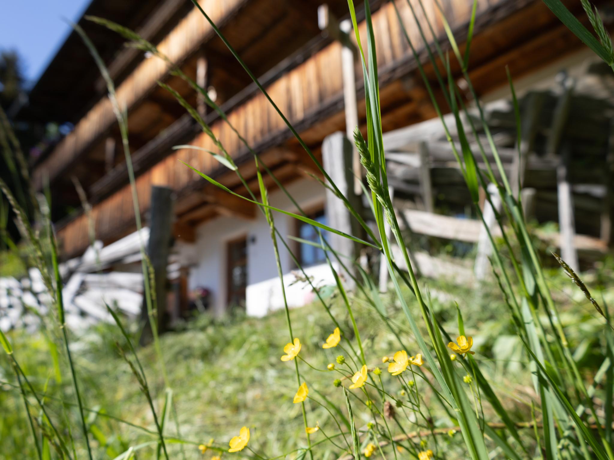 DAS Alpbach