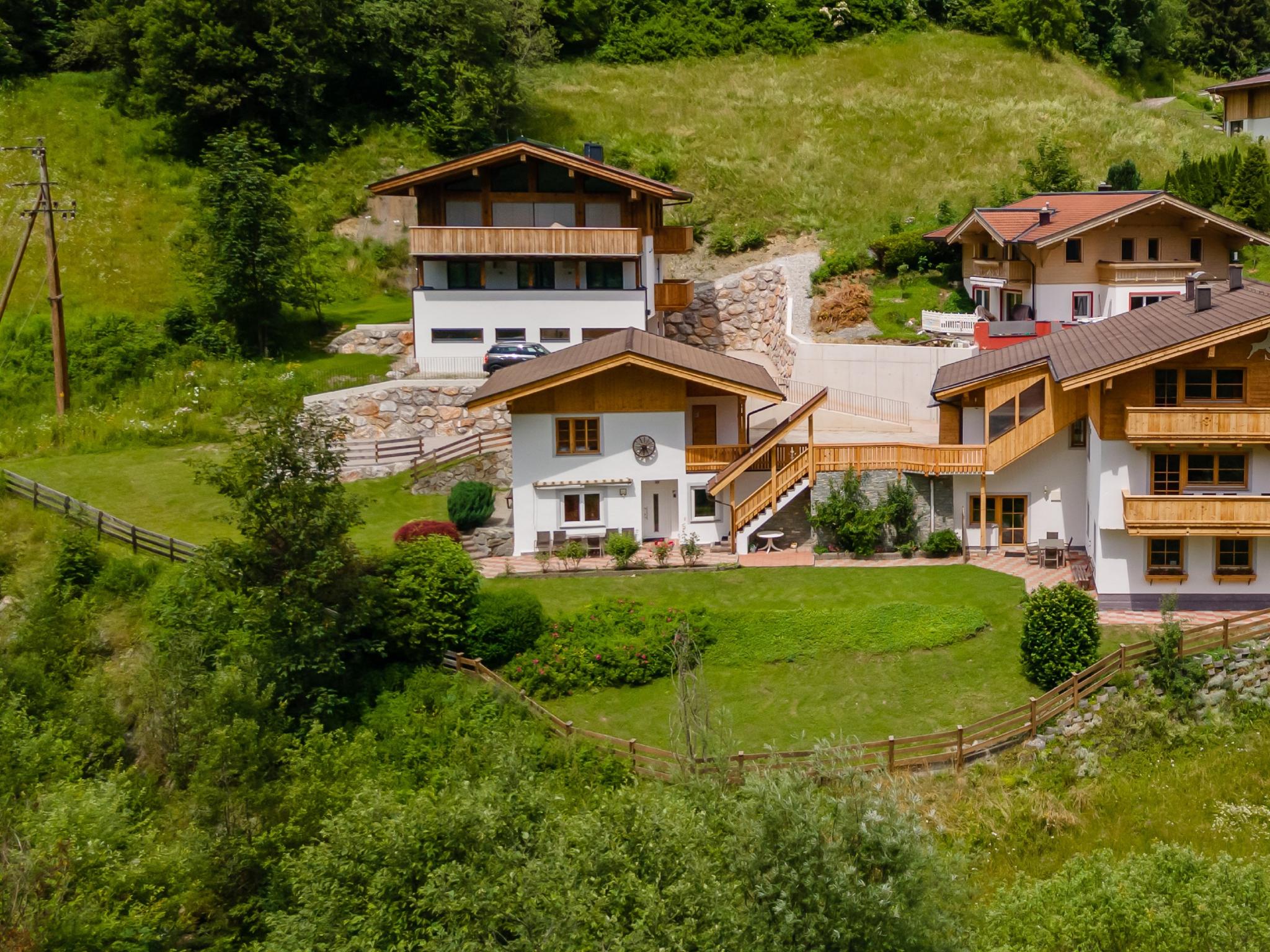 Alpensteinbock Saalbach D